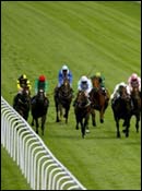 Glorious Goodwood Course